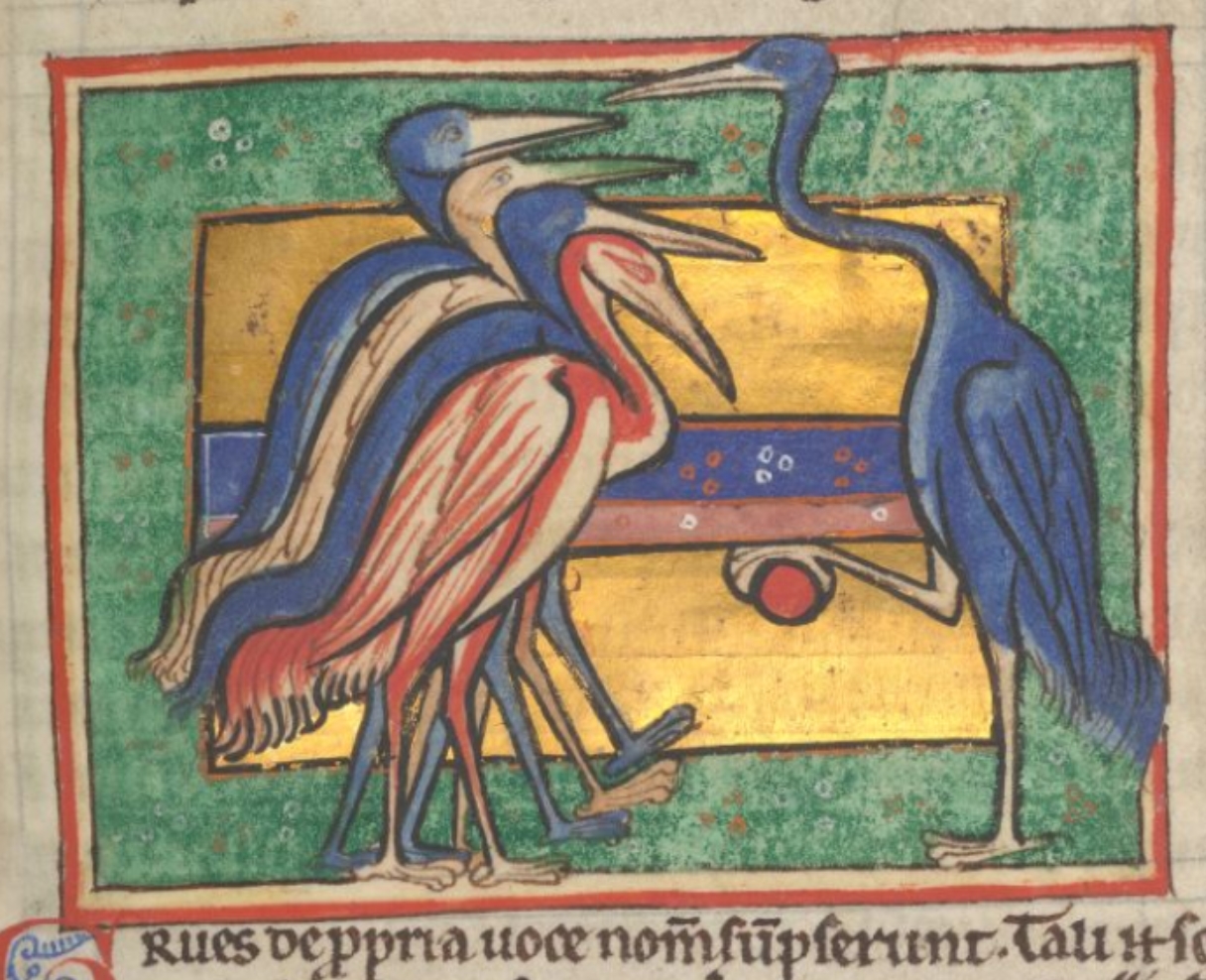 grues-1185-Worksop-Bestiary-Morgan-Library-MS-M.81-fol-50r.