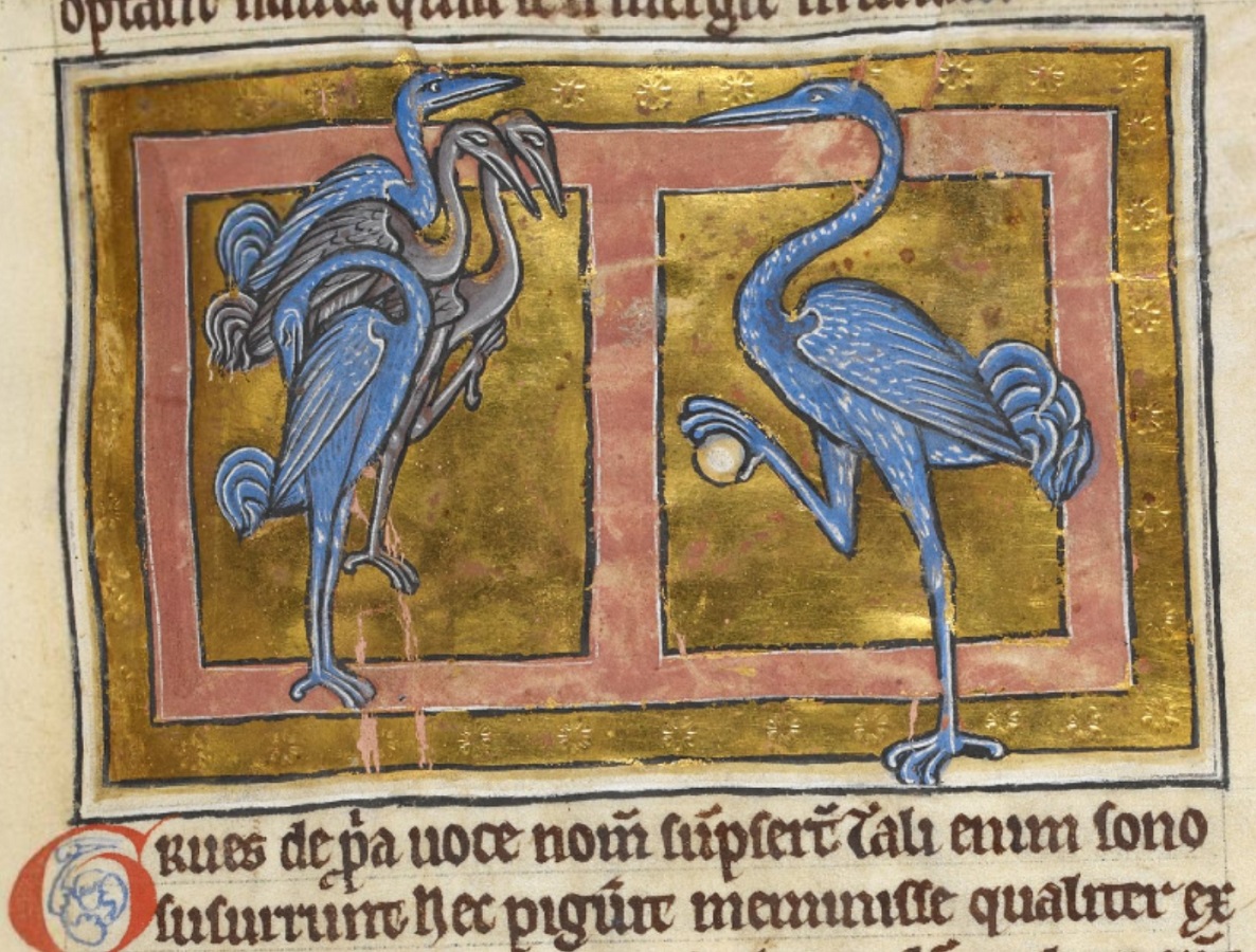 grues-1200-10-ca-Bestiaire-Royal-MS-12-C-XIX-fol-40r-