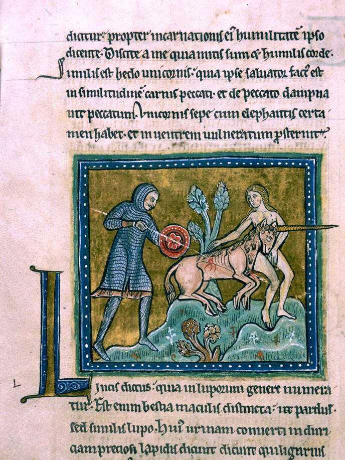 licorne 1230 ca Rochester Bestiary, Royal MS 12 F XIII, f. 10v