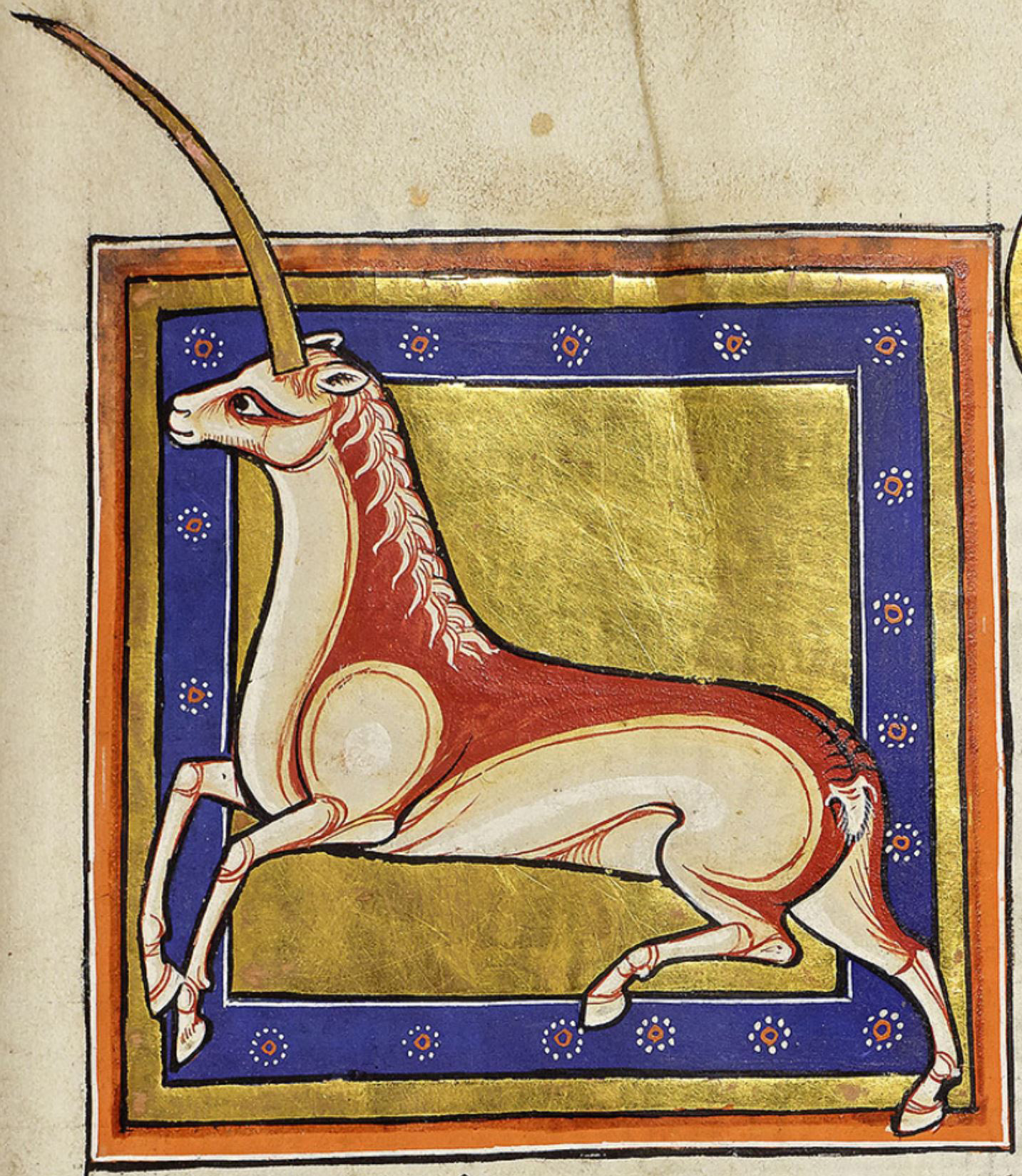 monocerus-1200-Aberdeen-Univ.-Lib.-MS-24-Aberdeen-Bestiary-folio-15r