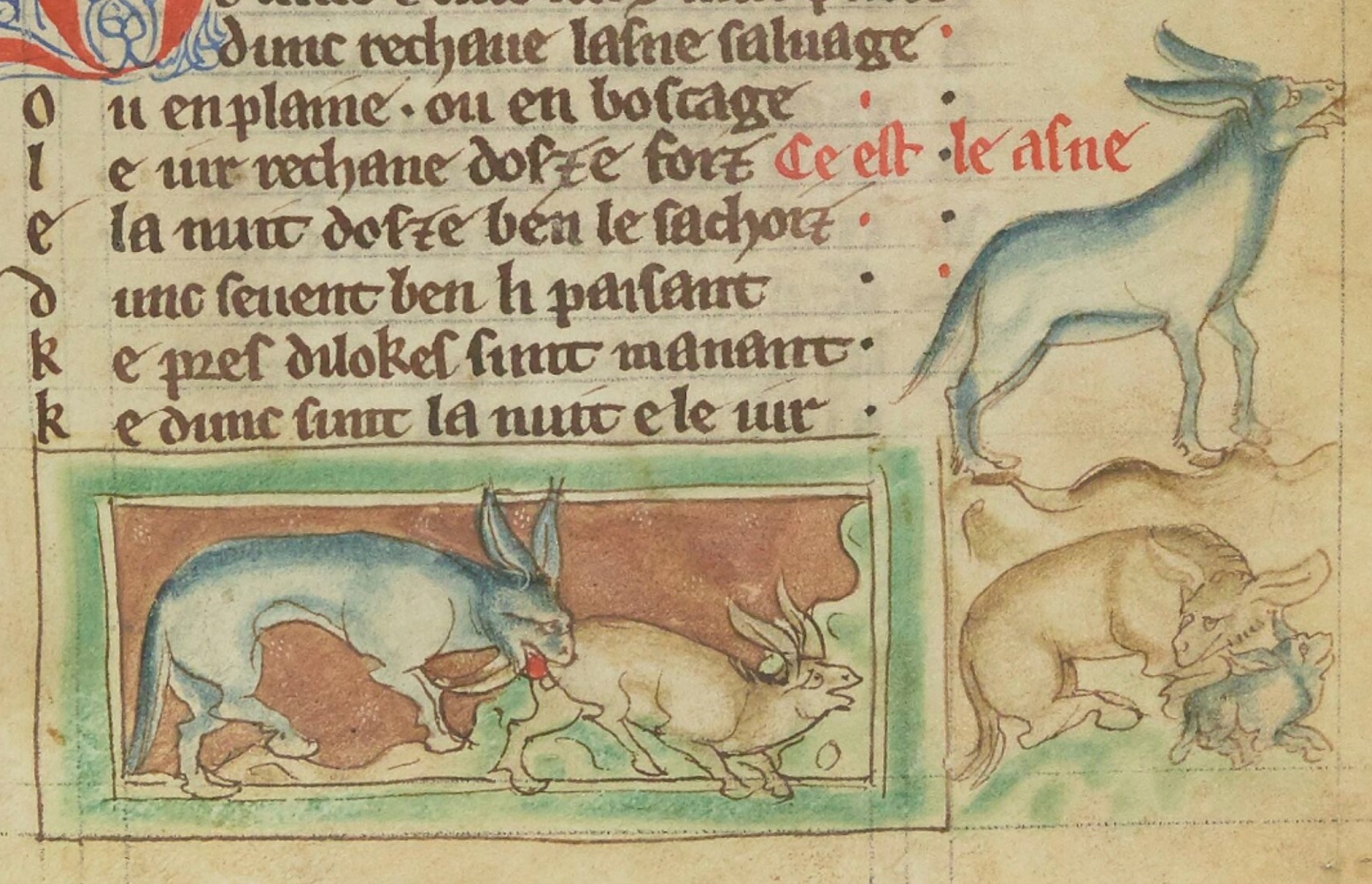 onagre-1265-1270-Bestiaire-divin-BnF-fr-14969-fol-35r