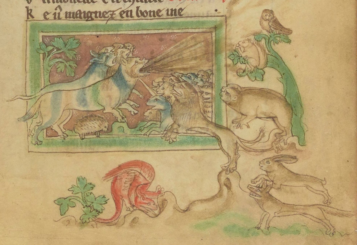 panthere-1265-1270-Bestiaire-divin-BnF-fr-14969-fol-38r