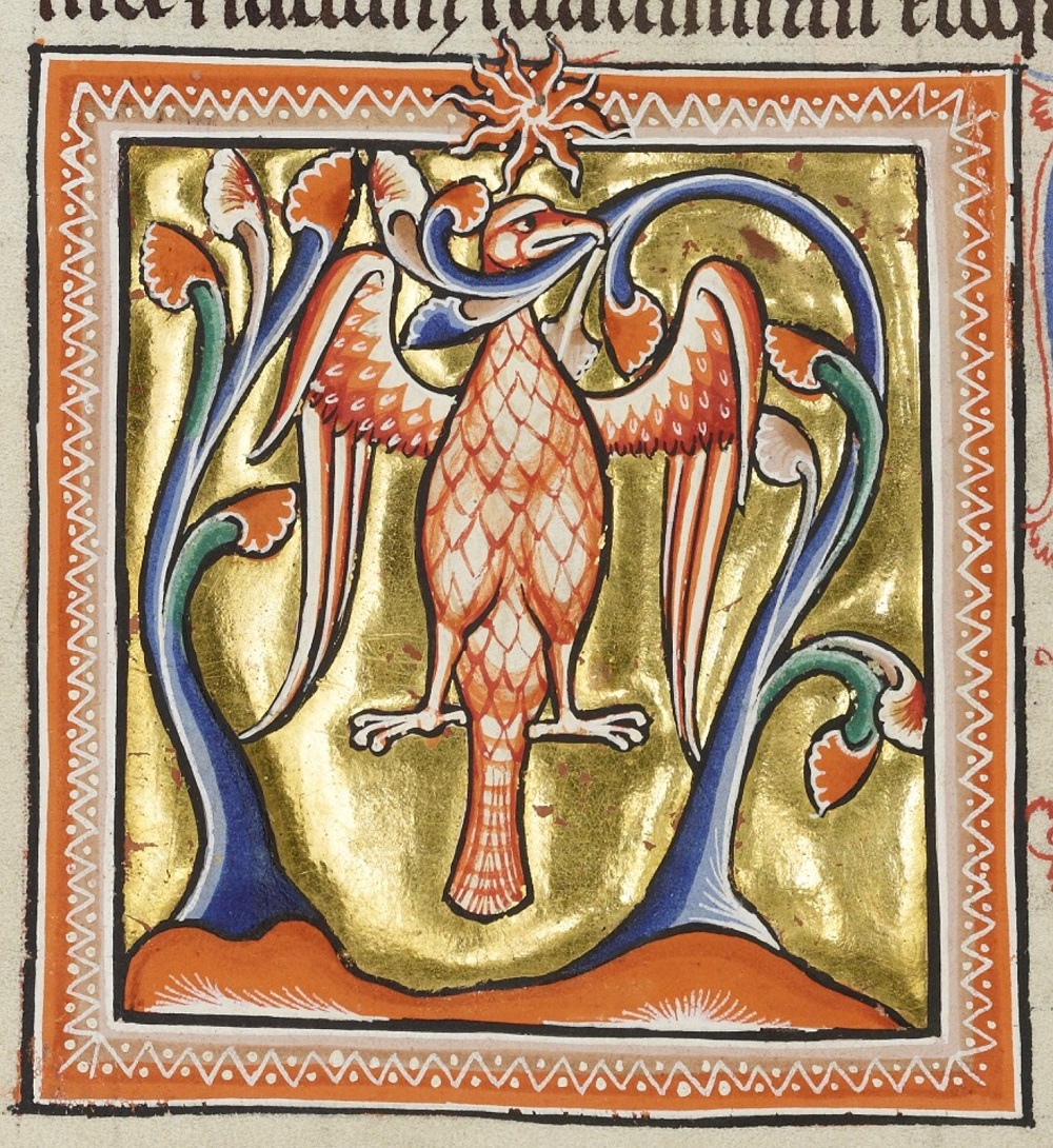 phenix-1200-20-Bodleian-Library-MS.-Ashmole-1511-The-Ashmole-Bestiary-folio-67v.j