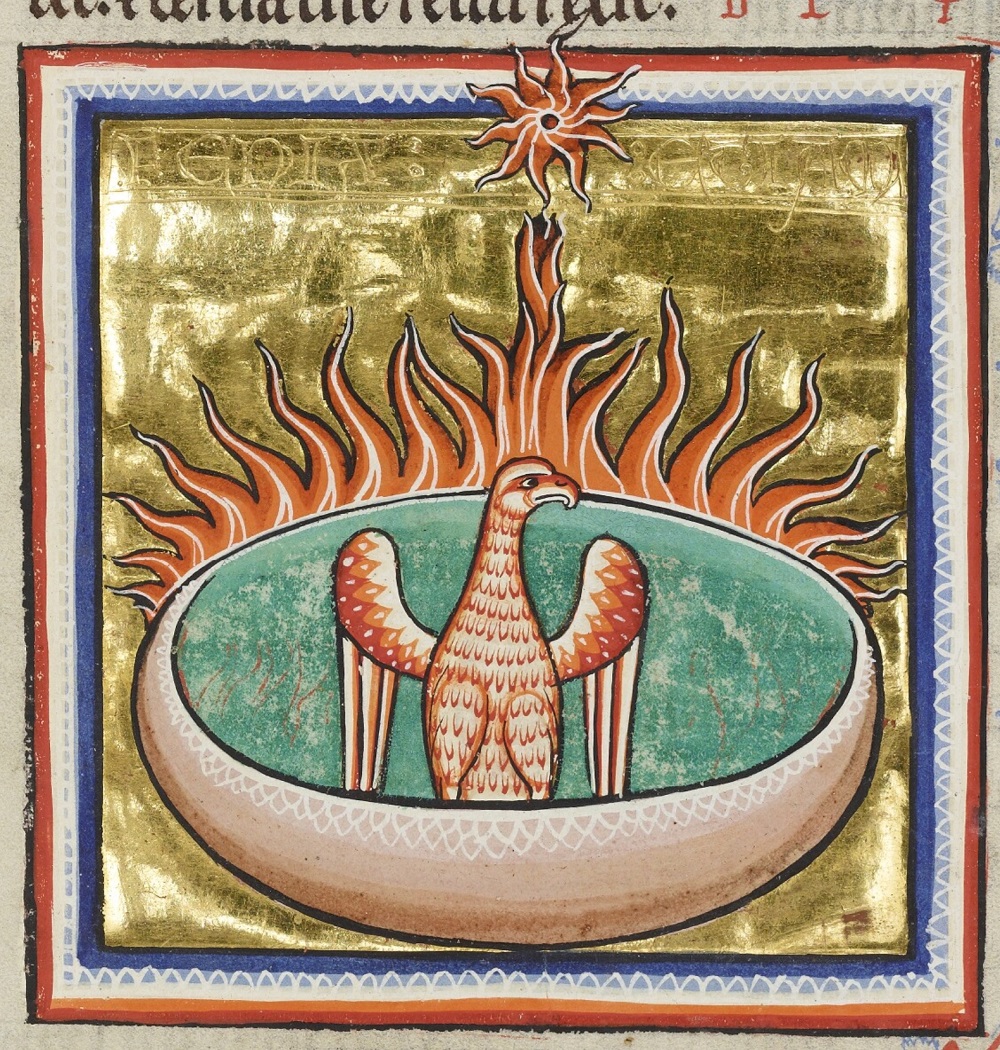 phenix-1200-20-Bodleian-Library-MS.-Ashmole-1511-The-Ashmole-Bestiary-folio-68r.