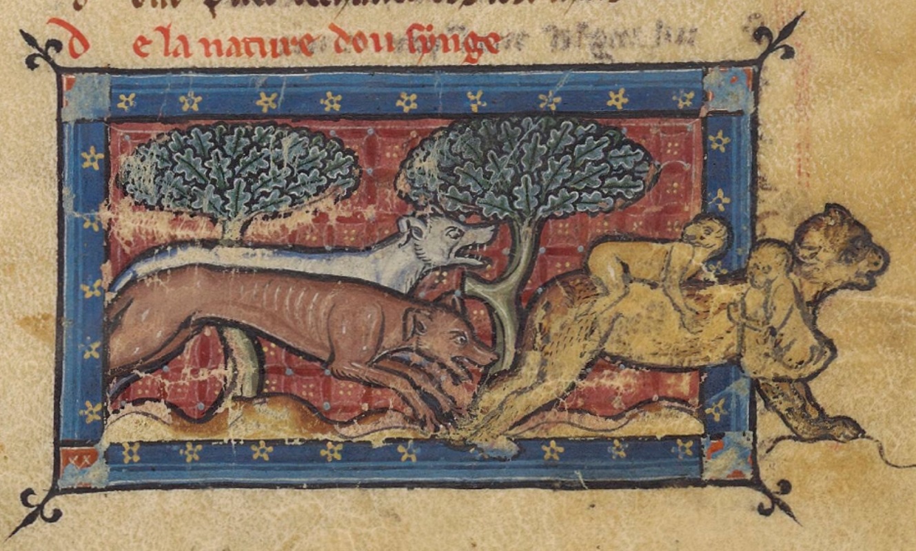 singe-1265-1270-Bestiaire-divin-BnF-fr-14969-fol-147r.