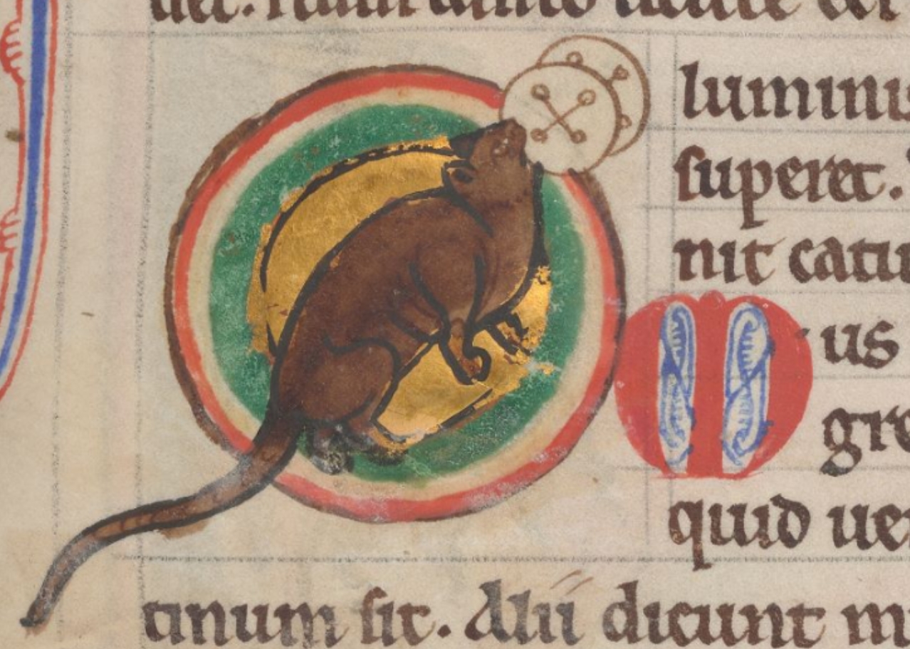 souris-1185-Worksop-Bestiary-Morgan-Library-MS-M.81-fol-47r-