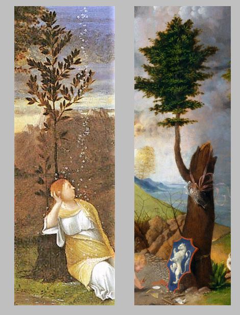 Lorenzo Lotto, Allegorie de la Chastete, vers 1502-1505. Washington, National Gallery comparaison arbres
