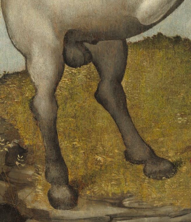 Piero di Cosimo Allegorie de la Chastete NGA detail cheval