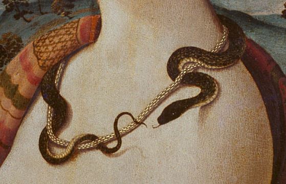 Piero_di_Cosimo_-_Portrait_de_femme_dit_de_Simonetta_Vespucci_detail serpent