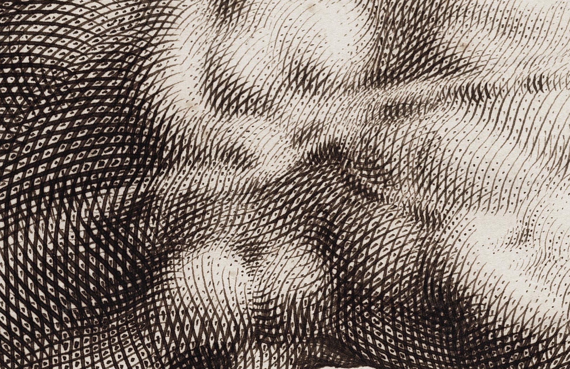 Goltzius's_right_Hand detail Teylers Museum, Haarlem