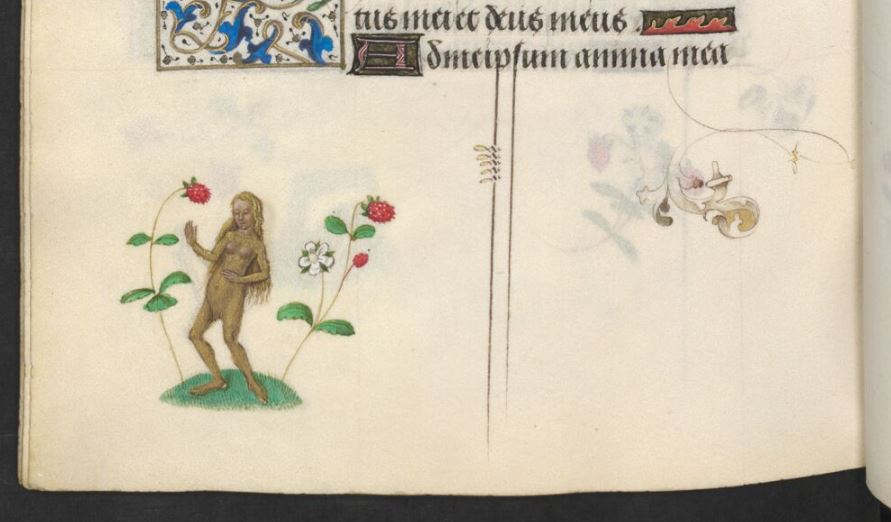 Stundenbuch der Maria von Burgund ÖNB, Cod 1857 fol 170v