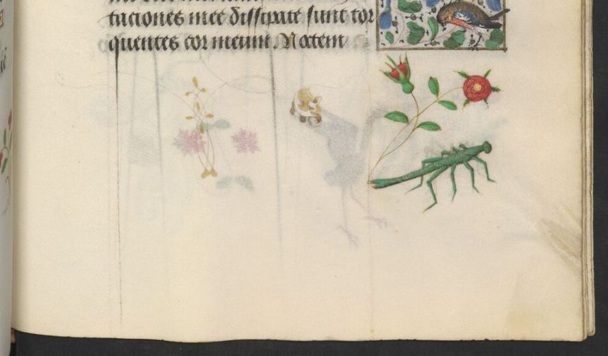 Stundenbuch der Maria von Burgund ÖNB, Cod 1857 fol 172r